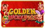 BG Golden Lucky Pigs